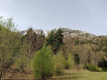 Zdjęcie z Bergpirat wzdłuż trasy