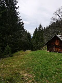 Fotó a Waldläufer honlapról a túra során