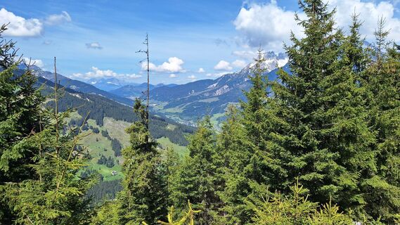 Foto da Matej Mikus 1 lungo il tour