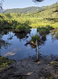 Photo de Eveline Hechenberger le long du parcours