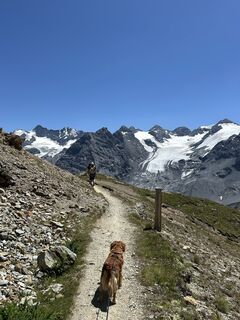 Photo de kristof vanhees le long du parcours