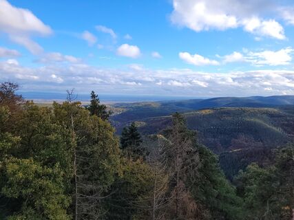 Foto von Peter Mißbach entlang der Tour