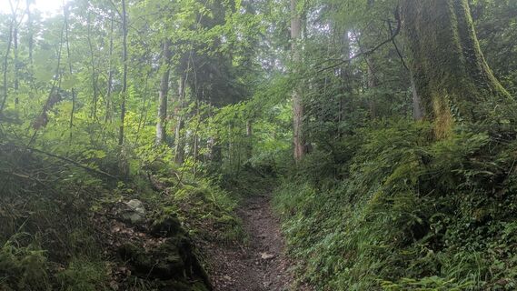 Foto de Thomas Heß a lo largo del recorrido