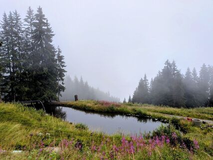 Fotografia z Sabrina Hackel na trase