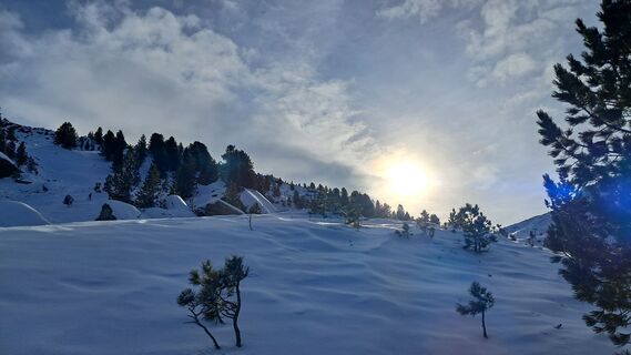 Fotografie z Urban Wille na trase