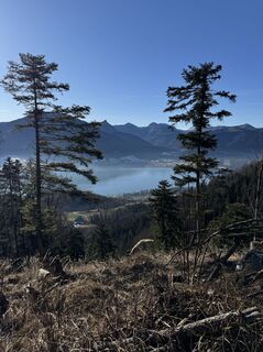 Fotografija s spletne strani Iulia Rubtsova na poti