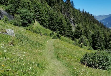 Wanderweg von der Puntegliashütte nach Brigels