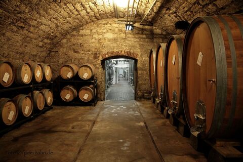 Kellerführungen und Weinproben