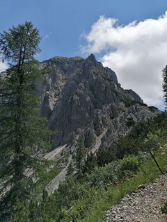 Fotografia z Dagmar Hofer na trase