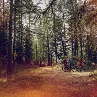 Mountainbiker im Wald von Sädol Richtung Col du Gibidum