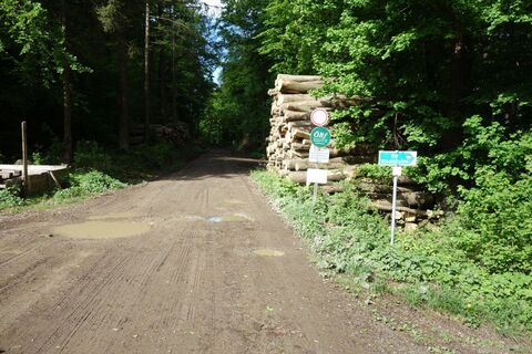 am Forstweg rechts weg