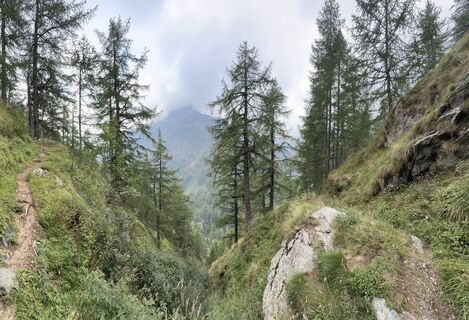 Photo de Robin Gerrets le long du parcours