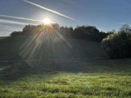 Photo de Schaali le long du parcours