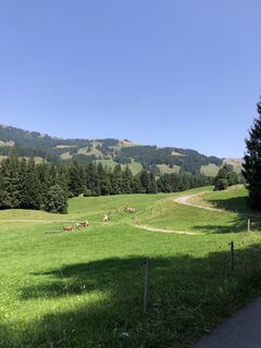 Fotografija s spletne strani Peter Bolliger na poti