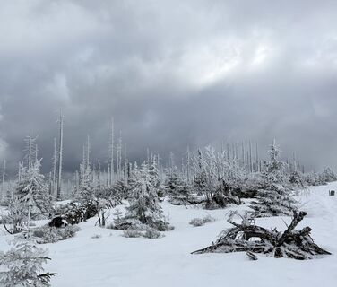 Fotografija s spletne strani Natur_erleben_dg na poti