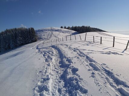 Wanderweg auf der Sommeralm_Naturpark Almenland_Oststeiermark