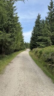 Fotografija s spletne strani Grzybek na poti