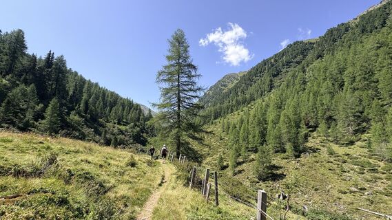 Photo de Kauz199 le long du parcours