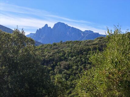 Fotografija s spletne strani Lodovica Vecchi na poti