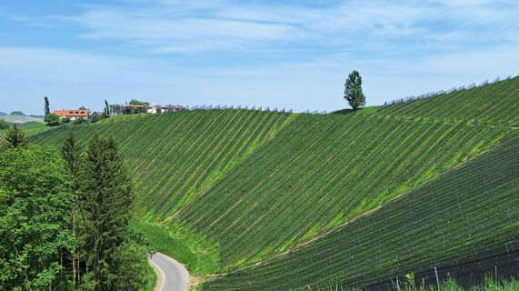 Fotografia z Karl Kriegseisen na trase
