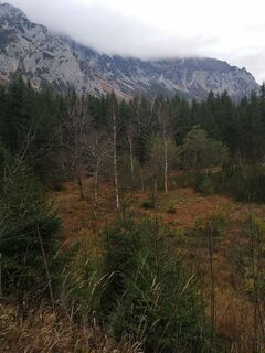 Foto von petra zöchner entlang der Tour