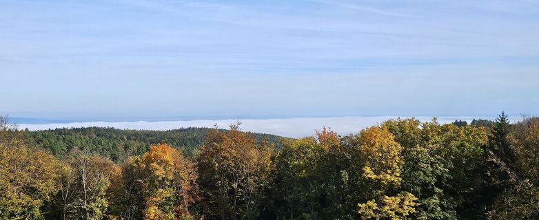 Fotografie z Tanjasusanna na trase