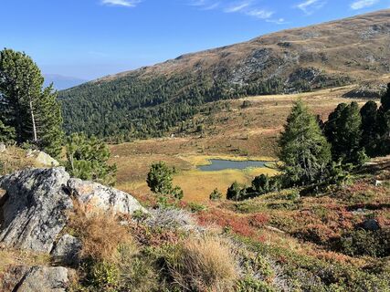 Foto de Hieronimus a lo largo del recorrido
