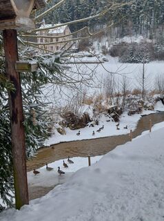 Photo de Andrea Mahringer le long du parcours