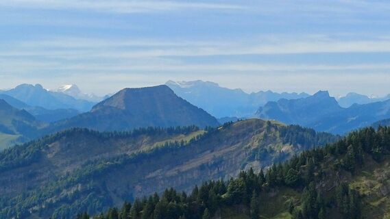 Foto da Marlyse Leu lungo il tour