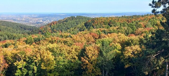 Fotó a Rick123 honlapról a túra során