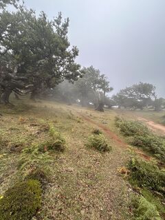 Photo de József Ténai le long du parcours