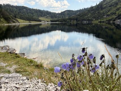 Fotografia z Natur_erleben_dg na trase