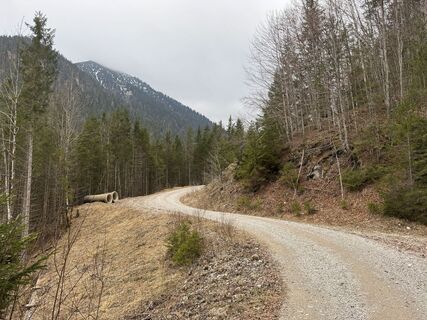 Photo de Jan Emsters le long du parcours
