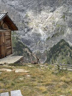 Fotografie z Davide Gorla na trase
