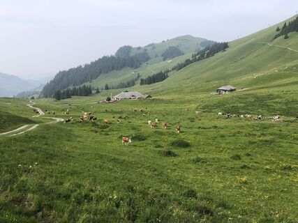 Foto von Peter Bolliger entlang der Tour