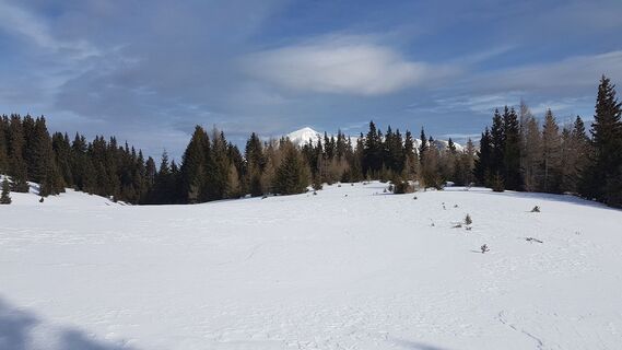 ehemalige Kaiserbrunn-Aussicht
