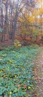 Fotografia z Nellabi na trase