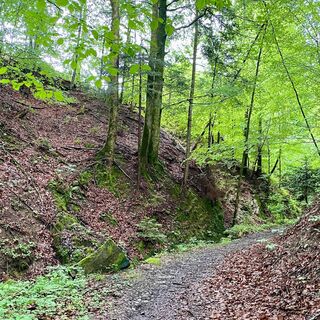 Sulzbachtrail