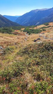Photo de Anna Wilding le long du parcours
