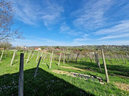 Fotografija s spletne strani Szomi Balázs na poti