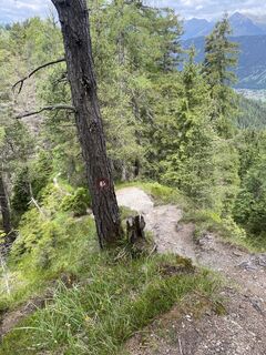 Foto von Peter Pongratz entlang der Tour