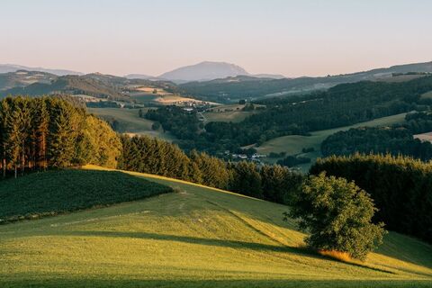Hügelige Landschaft mit Schneeberg im Hintergrund