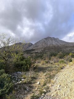 Fotografie z Gerry Girardi na trase