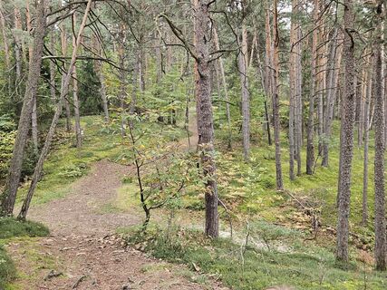 Fotografia z Martin Gratz na trase