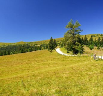 Saualpe- Blick zur Wofsberger Hütte