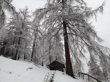 Photo de Karin Preghenella le long du parcours