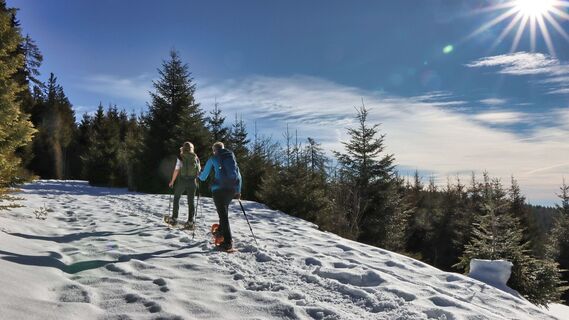 Wanderung mit Aussicht in Fischbach_Oststeiermark
