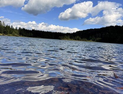 Zdjęcie z Natur_erleben_dg wzdłuż trasy