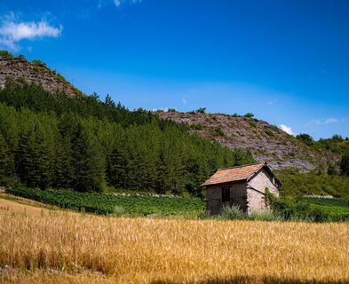 Unterwegs auf der Mountainbike-Strecke von Saint-Abdon