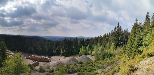Blick vom Hundskopf - Frauenwald